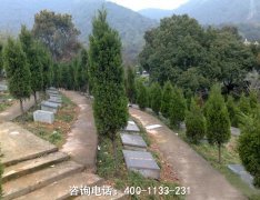 四川绵阳市蟠龙山陵园位置地址、联系电话和公墓的风水环境如何