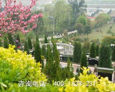 四川绵阳市金山公墓地址在哪儿、墓地风水环境和咨询联系电话