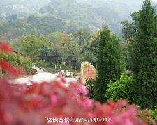 四川绵阳市七曲山敕法仙台灵骨塔位置地址、联系电话
