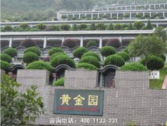 云南玉溪市汇龙福寿世博园公墓位置地址、电话、墓地价格最低多少钱