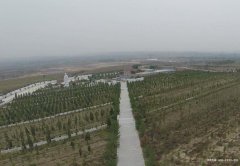 安徽池州青阳县市公墓价格表？哪个墓园价格便宜低？青阳县墓地价格查询？
