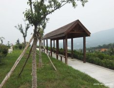 新郑公墓风水宝地指南：始祖山龙脉福地
