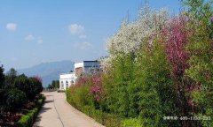 云南富民县宝象山陵园墓地价格最便宜多少钱？