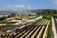 昆明陵园_云南公墓_昆明墓地_昆明市陵园_昆明周边陵园