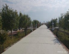 新疆奎屯市墓地价格最便宜多少钱？