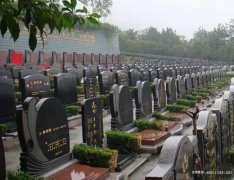 呼和浩特市松鹤园公墓位置地址在新城区哪里？