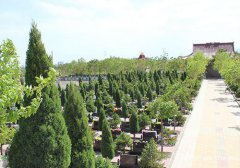 宁夏石嘴山市大武口区、惠农区、平罗县有什么公墓陵园墓地？