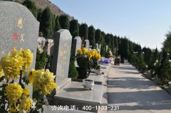 济宁市哪个公墓好？2025年最新指南帮你选