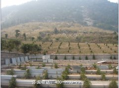 四川成都真武山憩园公墓位置地址在哪里、龙泉驿陵墓价格和联系电话是多少