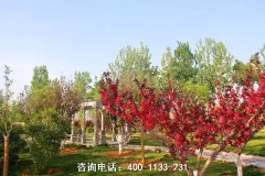 廊坊公墓 各大公墓位置