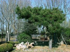 【廊坊公墓】廊坊公墓电话,廊坊公墓地址_殡葬信息网