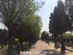 河北廊坊市兰生园墓园位置地址在霸州市哪里？
