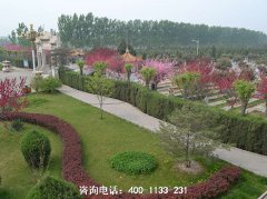 高碑店市高静园公墓电话号码是多少？