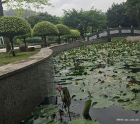 广东湛江市廉江市有哪几个公墓 廉江市公