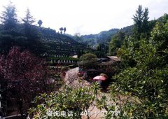 成都市龙泉驿区真武山公墓风水环境好不好？
