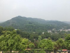 成都市大邑县有什么公墓？