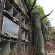 四川成都市蒲江县陵园哪家风水最好？成都蒲江县陵园风水哪个好？