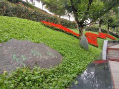 四川成都市锦江区墓地墓园信息_锦江区公墓陵园2022年墓地价格一览