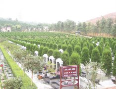 德阳墓地大全,德阳公墓陵园名录-四川殡葬信息网