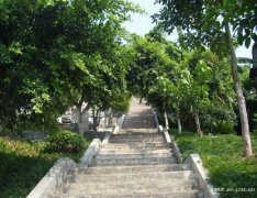 四川绵阳市梓潼县墓地排行-陵园大全-墓地价格-【梓潼县陵园网】购墓平台
