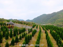 贵州贵阳白云山墓园墓地位置地址、联系