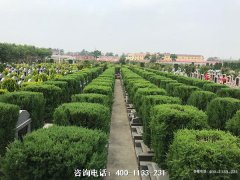 沧州市公墓价格大全：2025年最新购墓指南