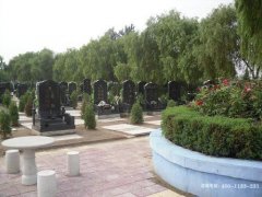 河北邢台市巨鹿县墓地一览_巨鹿墓地大全
