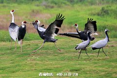 湖北武汉汉南区周边有几家陵园公墓？距