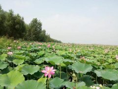 吉林省吉林市昌邑区公墓 昌邑区墓地陵园哪个好?昌邑区墓地价格多少?