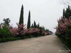 山东临沂市有哪些公墓？临沂墓地价格表？临沂哪个陵园好？