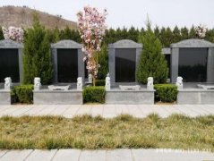 枣庄市依山公墓电话号码是多少？