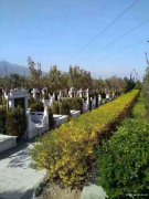 山西运城市万荣县墓地|万荣县陵园|万荣