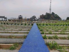 宜宾市墓地价格最便宜多少钱？