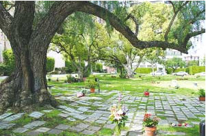 玛丽莲·梦露墓葬何处？走进好莱坞明星墓地