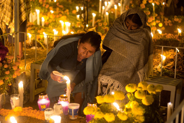 亡灵节的万寿菊