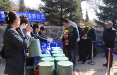树葬仪式流程规范与操作指南